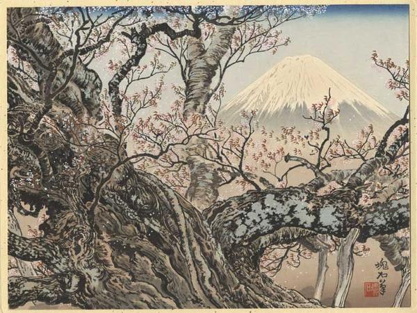 The Komadome Cherry Tree and Mt Fuji