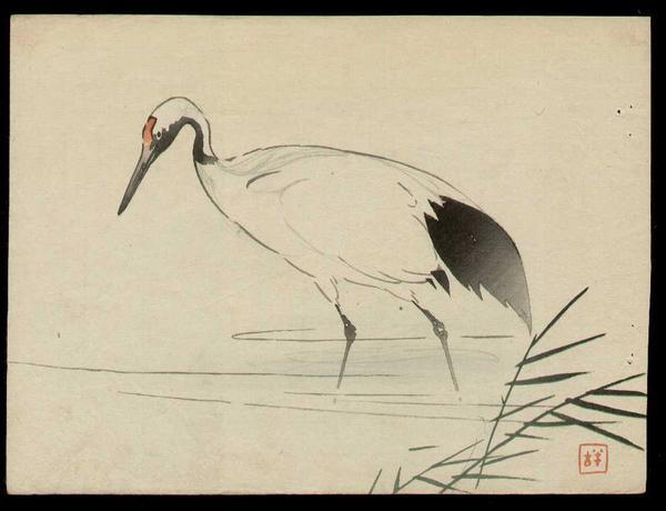 Japanese Crane