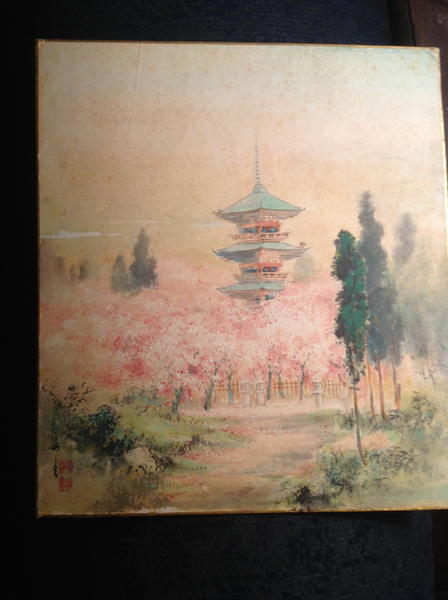 Ueno Park, Tokyo, Spring Season