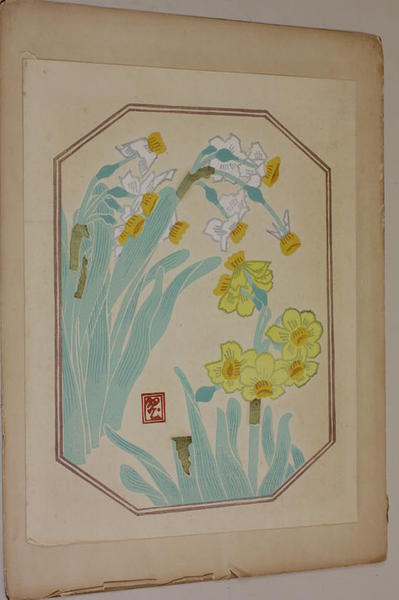 Orchids