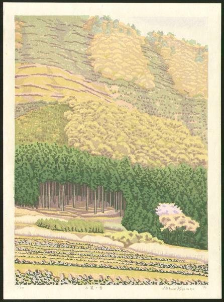 Spring in Sanroku