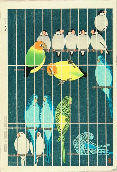 Bird cage