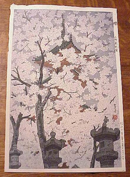 Cherry Blossoms At Toshogu Shrine, Ueno