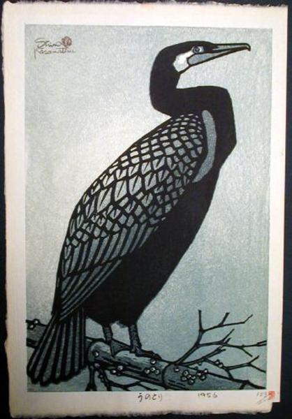 Cormorant