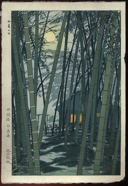Bamboo In Early Summer