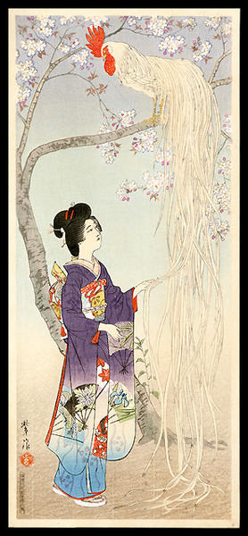 Long-tailed Rooster