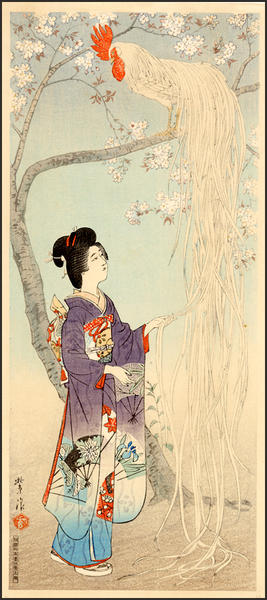 Long-tailed Rooster