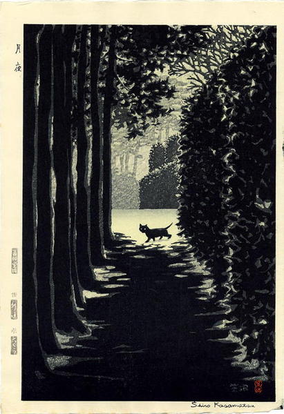 Moonlight Night (Cat)
