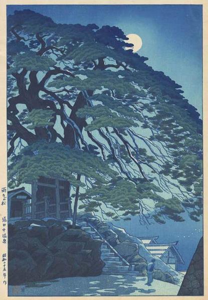 Pine Trees at Yudanaka Hot Spring
