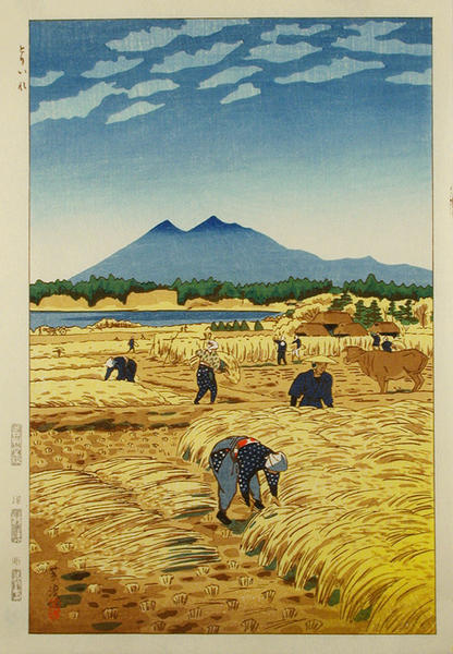 Rice Harvesting