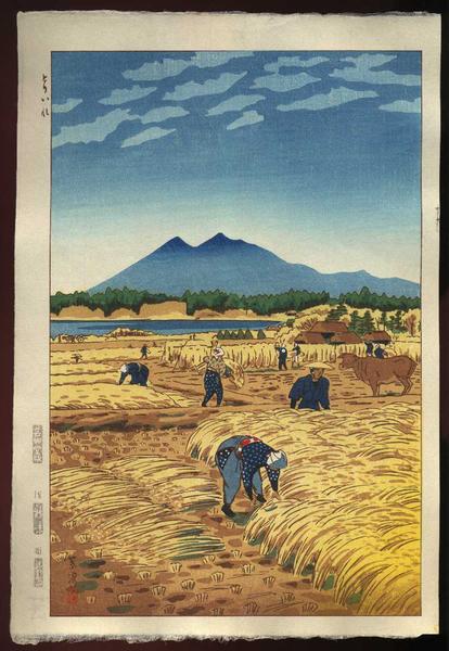 Rice Harvesting