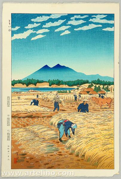 Rice Harvesting