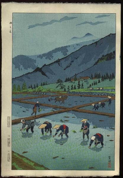 Rice Planting
