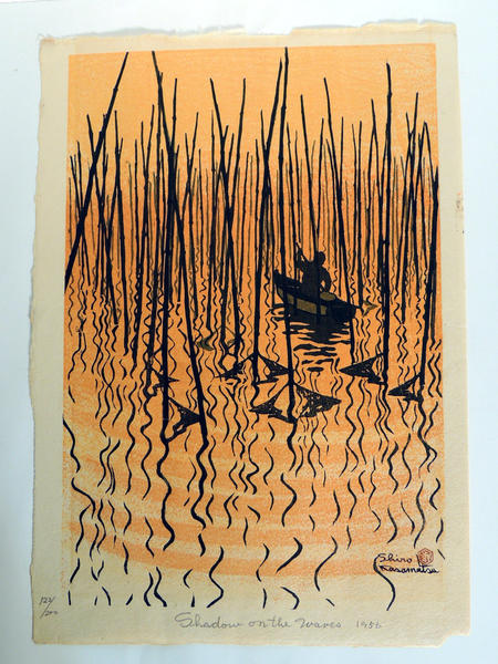 Shadow on the Waves