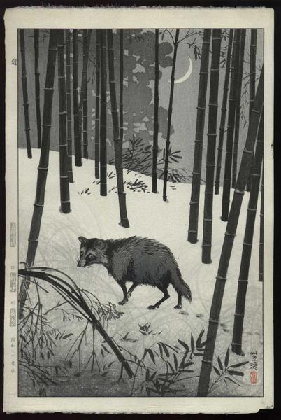 Tanuki