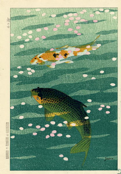 Two Carp, Koi