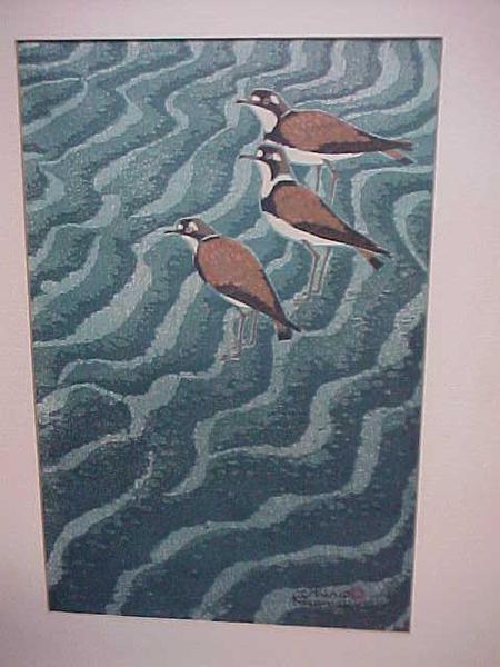 Unknown, three birds