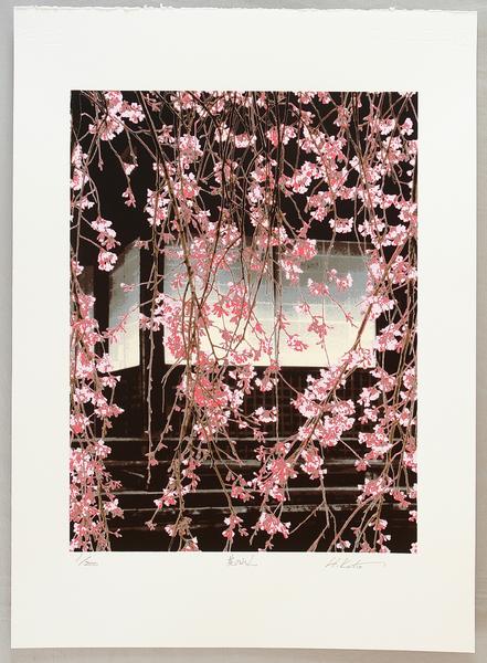 Flower Curtain