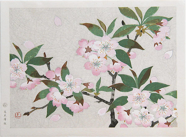 Cherry blossoms