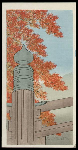 Autumn Colors