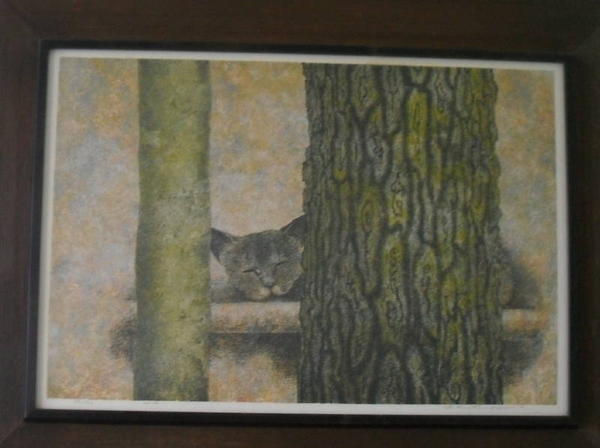 No 076 Sleeping Cat