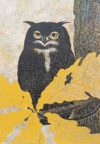 No 118- Owl