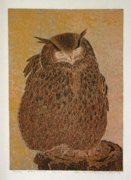 No 120- Owl