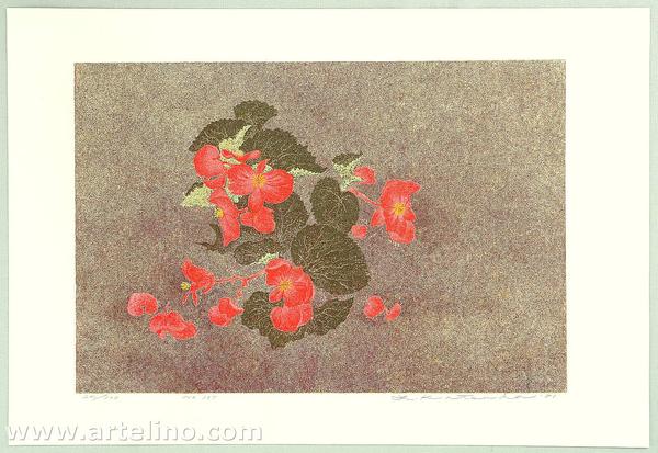No 137- Begonia