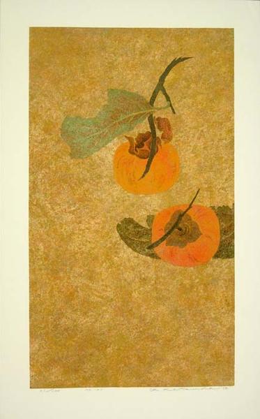 No 145 Persimmons