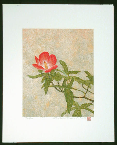 No 195- Hibiscus