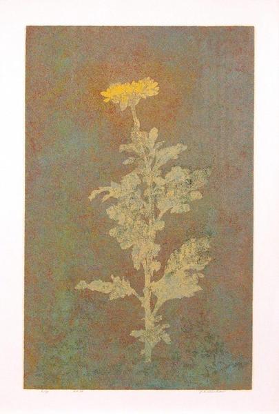 No 34- flower