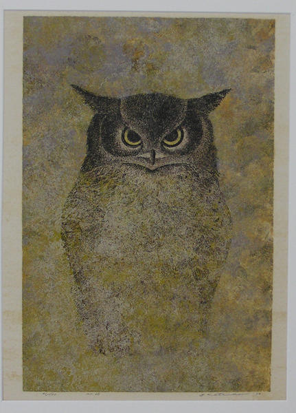 No 65- Horned Owl