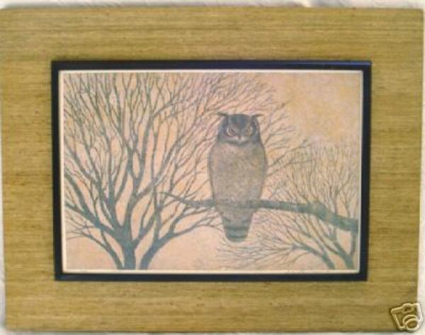 No 67- Owl