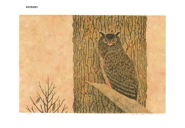 No 69- Owl