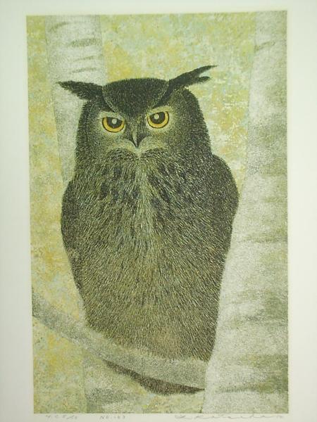 White Birch and Horned Owl