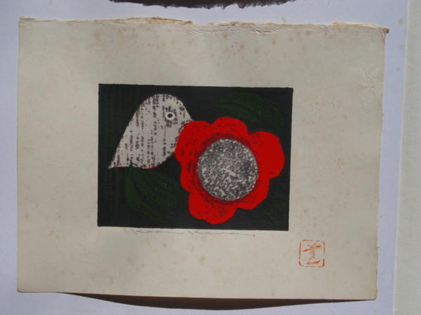 Camellia D