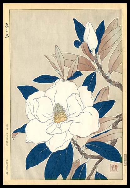 Flowers 11
