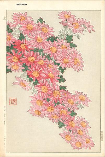 Pink Mum Cascade