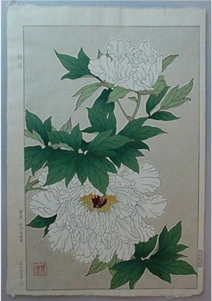 White Peonies