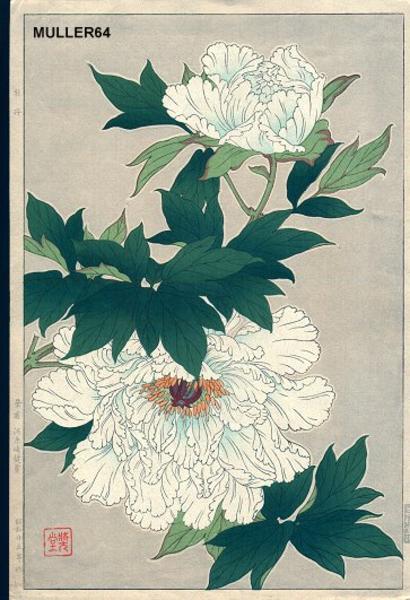 White Peonies