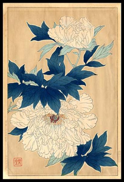White Peonies