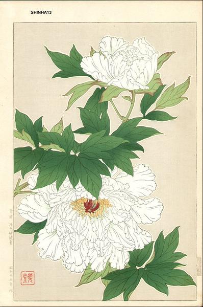White Peonies