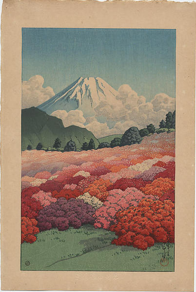 View of an Azalea Garden and Mt Fuji