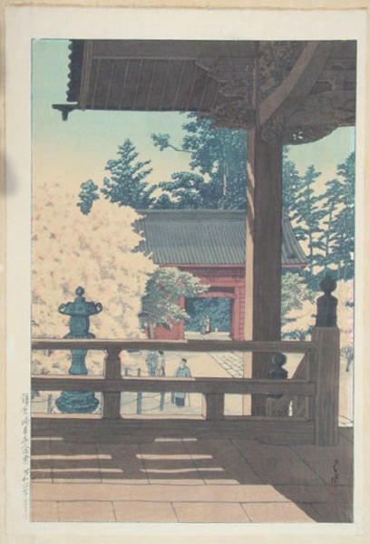 Cherry Blossom