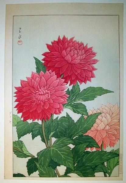Dahlia