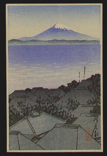 Fuji across Harbour