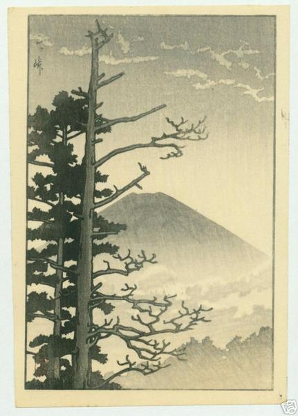 Fuji and pine trees