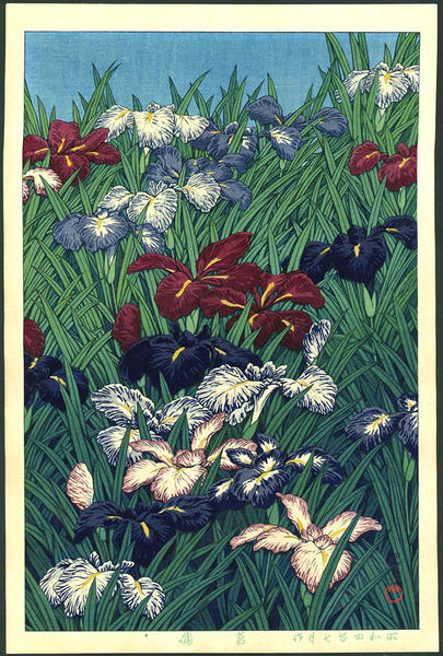 Iris Flowers