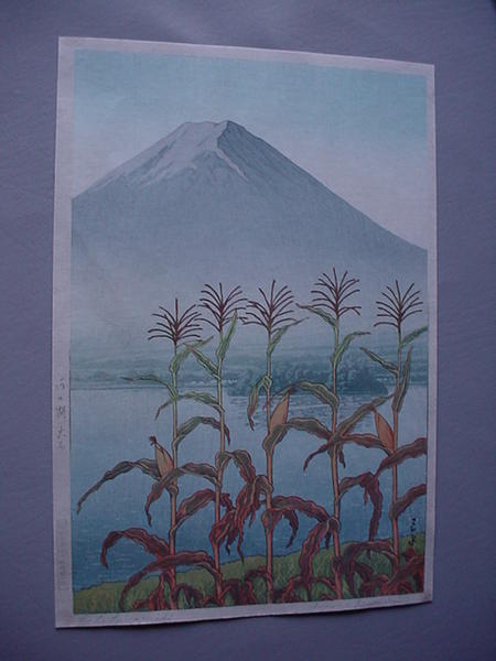 Lake Kawaguchi from Oishi