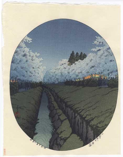 Night View of Cherry Blossoms at Koganei